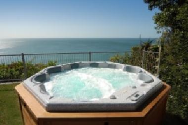 Maison de vacances �/en/au Napier (Hawke's Bay)ou appartement ou maison de vacances