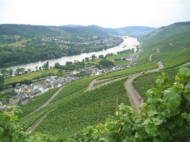 Appartement de vacances �/en/au Bernkastel-Kues (Mosel - Saar)ou appartement ou maison de vacances