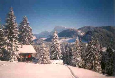 Chalet �/en/au Les Paccots (Montreux-Vevey)ou appartement ou maison de vacances