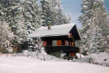 Chalet �/en/au Les Paccots (Montreux-Vevey)ou appartement ou maison de vacances