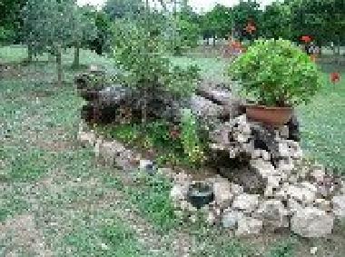 Chambre avec petit d�jeuner �/en/au sparanise (Caserta)ou appartement ou maison de vacances