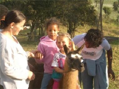 Location de vacances �/en/au El Rosal (Cundinamarca) ou des locations de vacances 