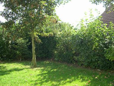 le jardin