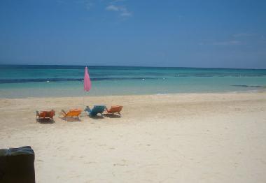 Maison de vacances �/en/au Ocho Rios (Saint Ann)ou appartement ou maison de vacances