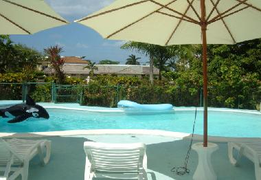 Maison de vacances �/en/au Ocho Rios (Saint Ann)ou appartement ou maison de vacances