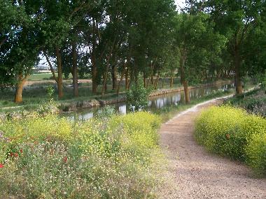 H�tel �/en/au Tamariz de Campos (Valladolid)ou appartement ou maison de vacances