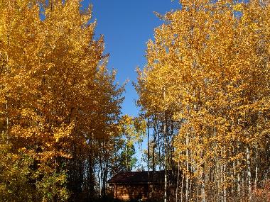 Maison de vacances �/en/au Lac La Biche (Alberta)ou appartement ou maison de vacances