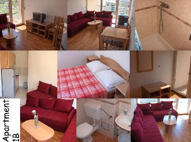 Appartement de vacances �/en/au Mimice (Splitsko-Dalmatinska)ou appartement ou maison de vacances