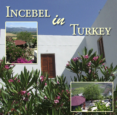 Maison de vacances �/en/au Dalaman (Mugla)ou appartement ou maison de vacances