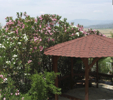 Maison de vacances �/en/au Dalaman (Mugla)ou appartement ou maison de vacances