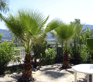 Maison de vacances �/en/au Dalaman (Mugla)ou appartement ou maison de vacances