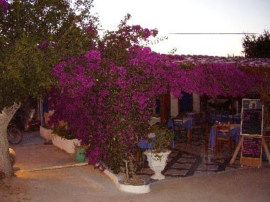 Maison de vacances �/en/au Vassilikos (Zakynthos)ou appartement ou maison de vacances