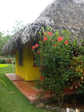la maison