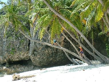 Chalet �/en/au las galeras (Samana)ou appartement ou maison de vacances