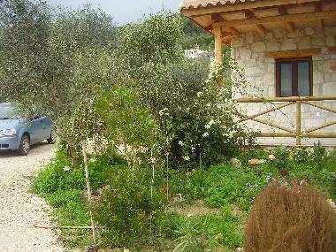 Maison de vacances �/en/au VASILIKOS (Zakynthos)ou appartement ou maison de vacances
