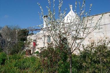 Maison de vacances �/en/au Ceglie Messapica (Brindisi)ou appartement ou maison de vacances