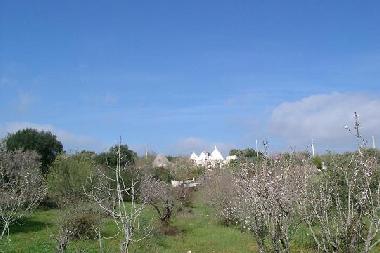 Maison de vacances �/en/au Ceglie Messapica (Brindisi)ou appartement ou maison de vacances