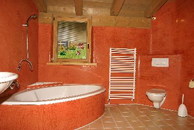 Maison de vacances �/en/au Mieders (Innsbruck)ou appartement ou maison de vacances