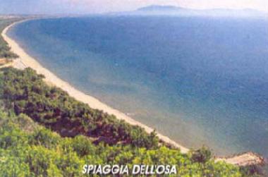 Appartement de vacances �/en/au Talamone (Grosseto)ou appartement ou maison de vacances
