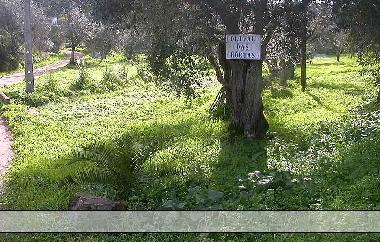 Maison de vacances �/en/au Gr�ndola (Alentejo Litoral)ou appartement ou maison de vacances