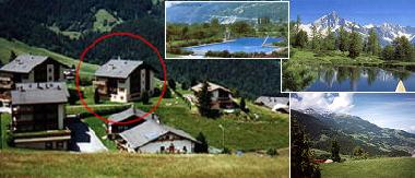 Appartement de vacances �/en/au B�rchen (Rund um Visp)ou appartement ou maison de vacances