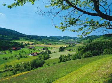 Chalet �/en/au Steinach (Schwarzwald) ou des locations de vacances 