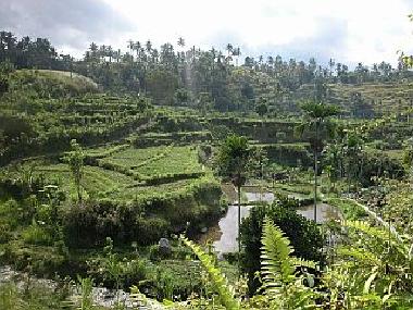 Maison de vacances �/en/au Tirtagangga (Bali)ou appartement ou maison de vacances