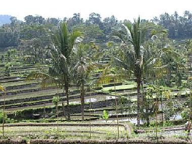 Maison de vacances �/en/au Tirtagangga (Bali)ou appartement ou maison de vacances