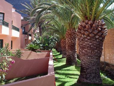 Appartement de vacances �/en/au Valle Gran Rey (La Gomera)ou appartement ou maison de vacances