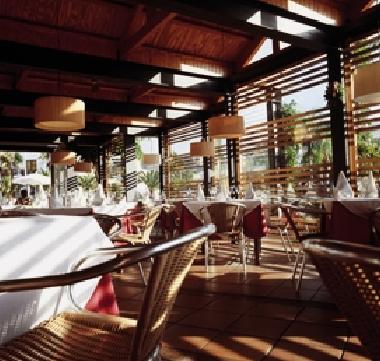 H�tel �/en/au Arona (Teneriffa)ou appartement ou maison de vacances