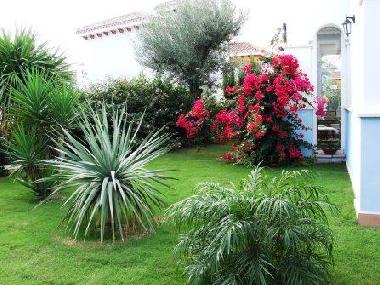Maison de vacances �/en/au Torre Pacheco (Murcia)ou appartement ou maison de vacances