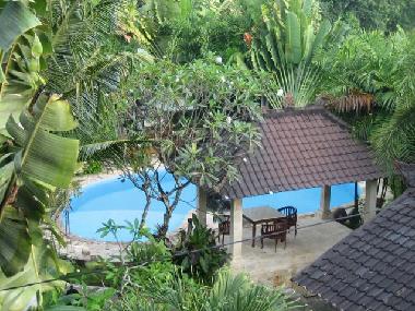 piscine et jardin