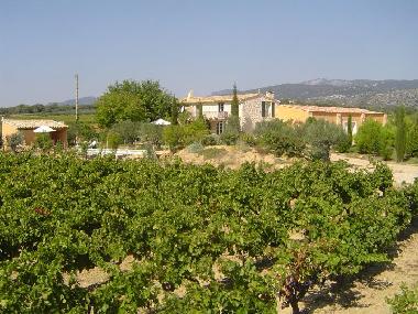 Maison de vacances �/en/au Saint Jean de Fos (H�rault)ou appartement ou maison de vacances