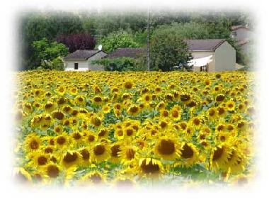 Maison de vacances �/en/au Montcuq (Lot)ou appartement ou maison de vacances