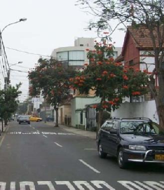 Appartement de vacances �/en/au Miraflores (Lima)ou appartement ou maison de vacances