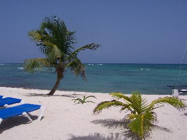 Appartement de vacances �/en/au Akumal, Quintana Roo (Quintana Roo)ou appartement ou maison de vacances
