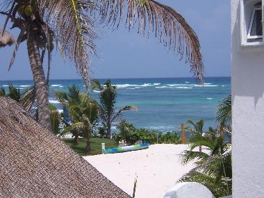 Appartement de vacances �/en/au Akumal, Quintana Roo (Quintana Roo)ou appartement ou maison de vacances