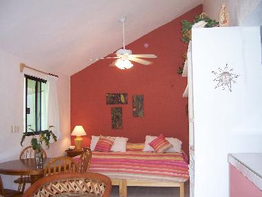 Appartement de vacances �/en/au Akumal (Quintana Roo)ou appartement ou maison de vacances