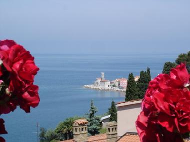 Appartement de vacances �/en/au Piran (Piran)ou appartement ou maison de vacances