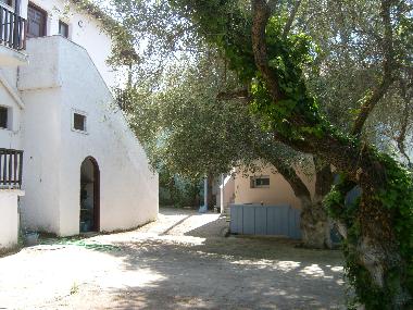 H�tel �/en/au lefkada (Lefkada)ou appartement ou maison de vacances