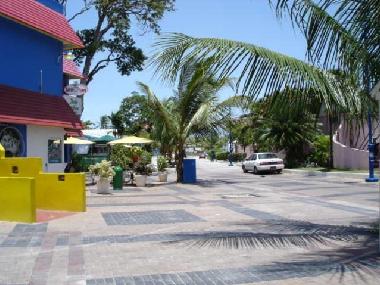 Maison de vacances �/en/au St. Lawrence Gap (Christ Church)ou appartement ou maison de vacances