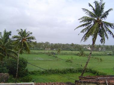 Appartement de vacances �/en/au Colva Beach (Goa) ou des locations de vacances 