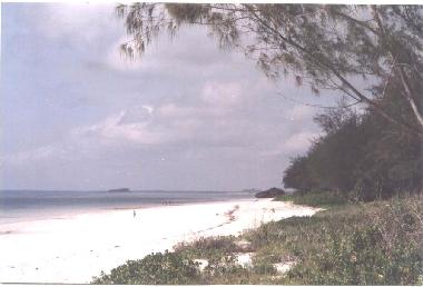 Maison de vacances �/en/au watamu (Coast)ou appartement ou maison de vacances