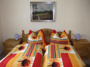Appartement de vacances �/en/au Eibenstock OT Wildenthal (Erzgebirge)ou appartement ou maison de vacances