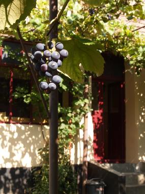 Location de vacances �/en/au Cund / Reussdorf (Mures) ou des locations de vacances 