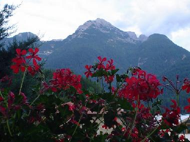 Chalet �/en/au Domegge di Cadore (Belluno)ou appartement ou maison de vacances