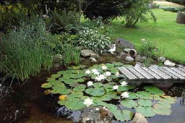 Chambre avec petit d�jeuner �/en/au Hittnau (Z�rich)ou appartement ou maison de vacances