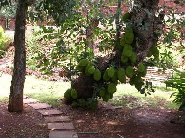 Location de vacances �/en/au Dona Paula (Goa) ou des locations de vacances 