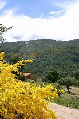 Maison de vacances �/en/au Faia, Guarda (Serra da Estrela)ou appartement ou maison de vacances