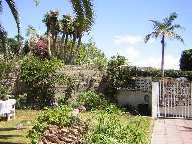 Appartement de vacances �/en/au Puerto de la Cruz (Teneriffa)ou appartement ou maison de vacances